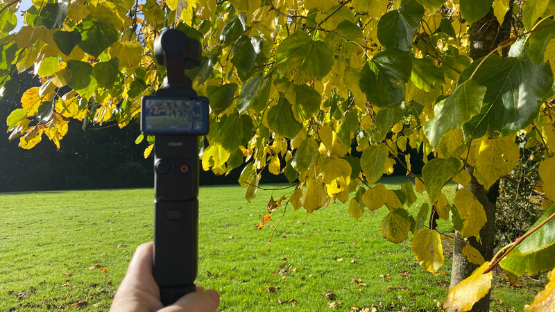 Hand holding a DJI Osmo Pocket gimbal camera beneath autumn foliage in a park setting.
