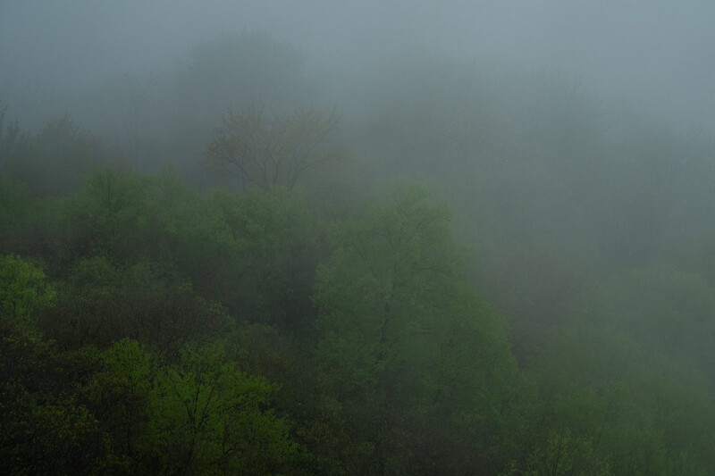 foggy evening at lindy point in blackwater falls state park west virginia