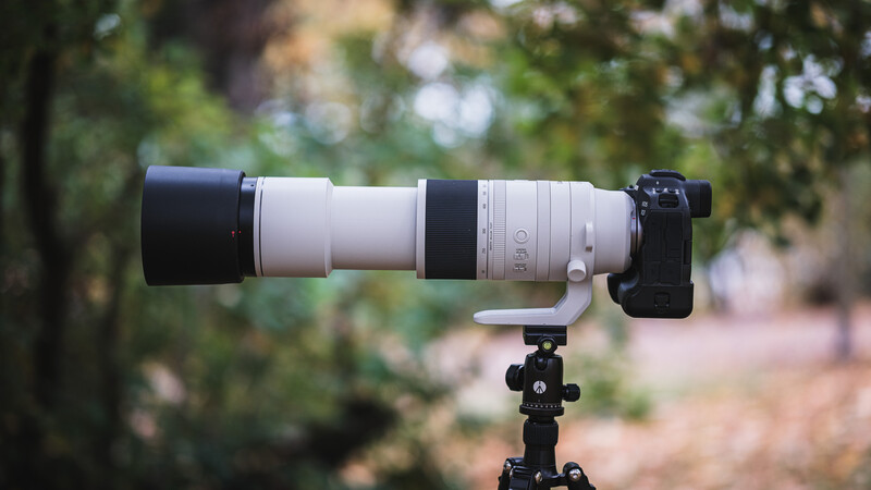 Mounted on a Canon EOS R3 and fully extended to 800 millimeters