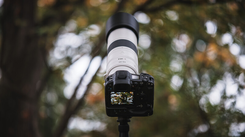 Perfect for bird and plane photography.