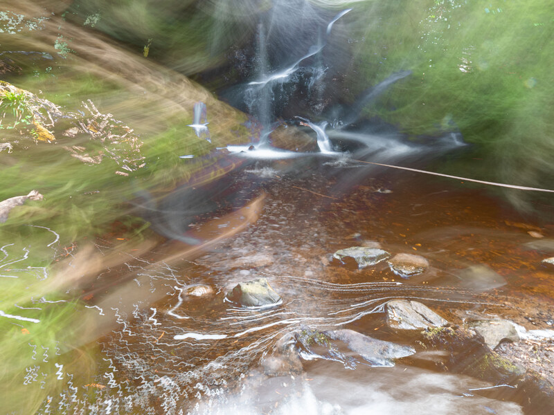 Forest stream with long-exposure water blur flowing over moss-covered banks and rocks.