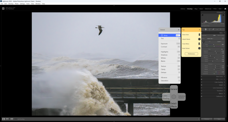 Screenshot of photo editing software showing a seabird in flight over turbulent waves against a cloudy sky.