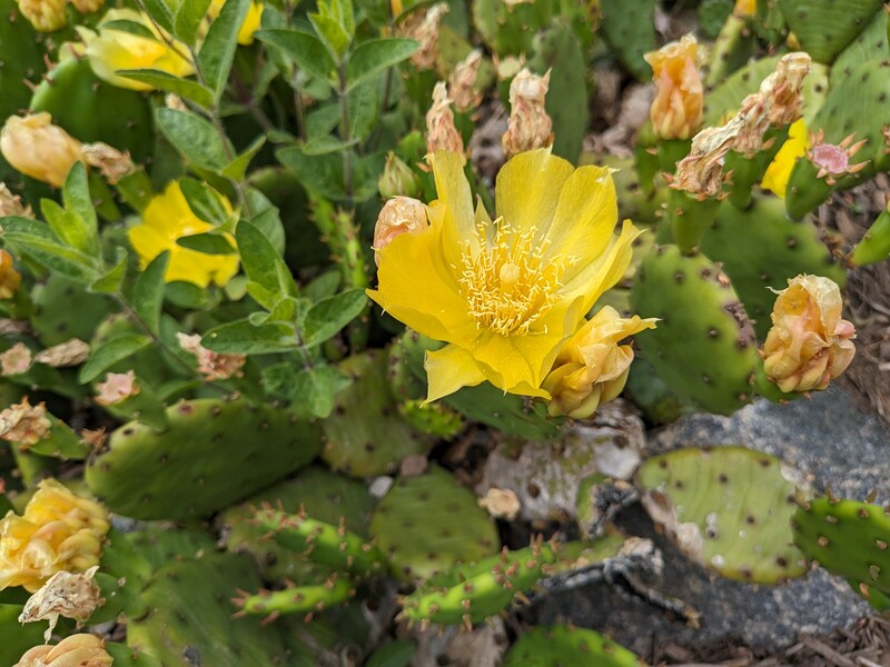 Image taken with a Google Pixel 8 Pro