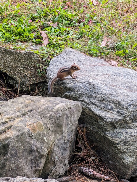 Image taken with a Google Pixel 8 Pro