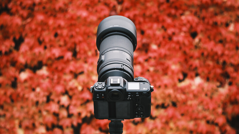 Great for birding, especially thanks to the fast VDX motor and the rounded aperture blades.