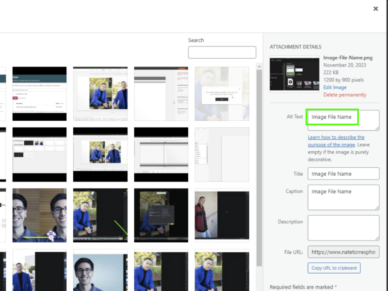 Screenshot of Image Alt Text