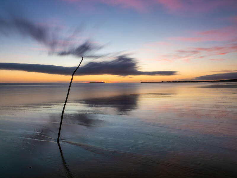 Single bent branch protruding from still water at sunset with colorful sky and distant mountains.