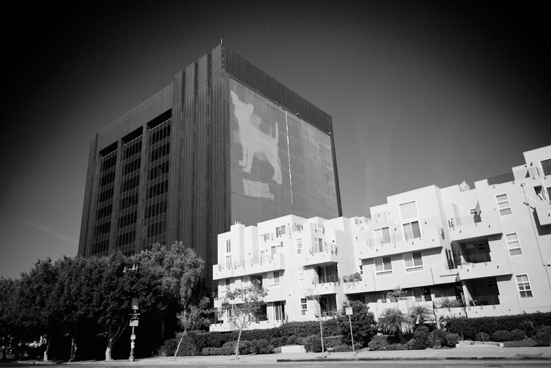 Modernist residential building contrasts with tall dark tower featuring large portrait projection in black and white urban scene.