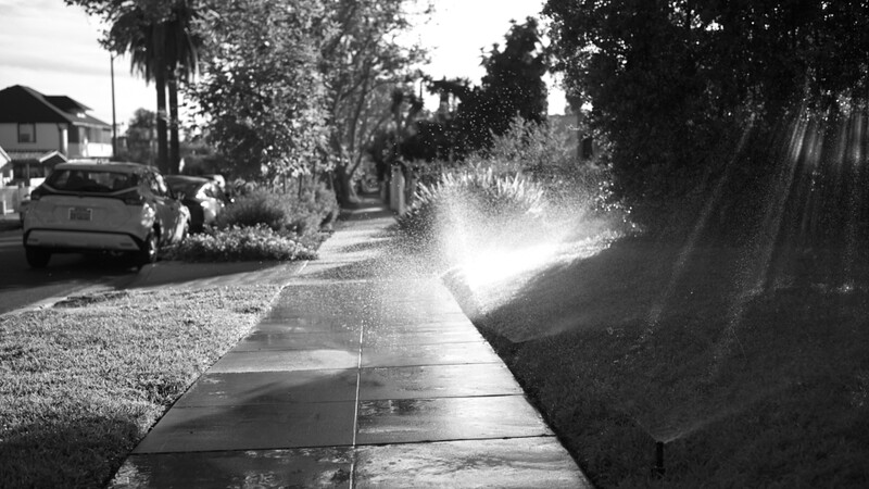 Suburban street with sprinkler spray illuminated against dark foliage on right side.