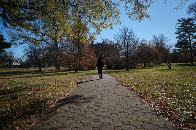 Fujifilm X-T5 and Sigma 10-18mm f/2.8 DC DN&nbsp;