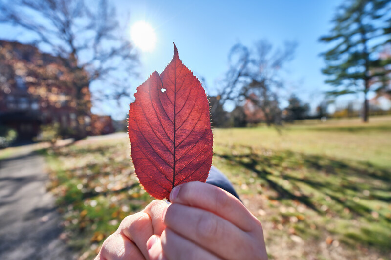 Fujifilm X-T5 and Sigma 10-18mm f/2.8 DC DN&nbsp;