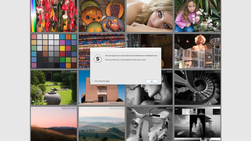 Screenshot of a loading or processing dialog box overlaying a grid of photography portfolio images.