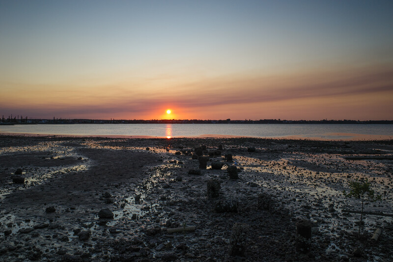 Sun reflecting on wet mudflats at golden hour with distant treeline silhouetted against twilight sky.