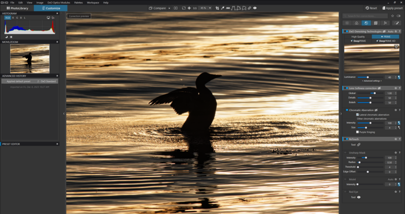 Silhouetted surfer carrying board while walking through shallow golden-hour water.