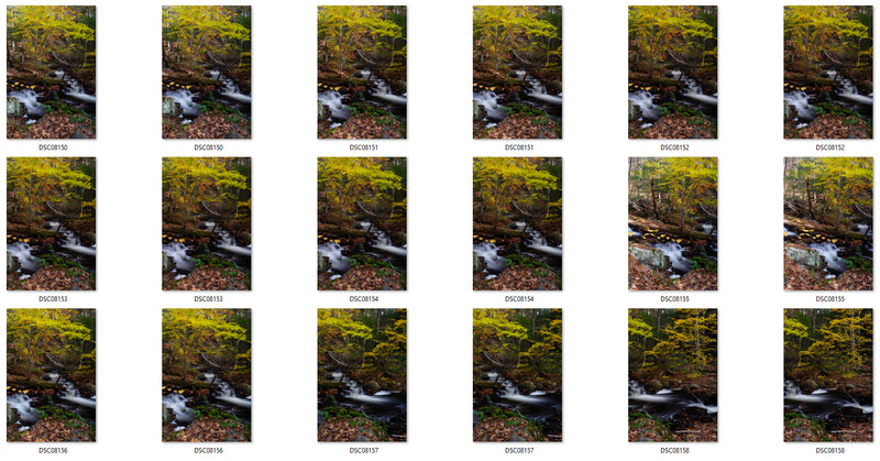 Grid of 18 similar photographs showing a small stream flowing through a moss-covered forest with autumn leaves.