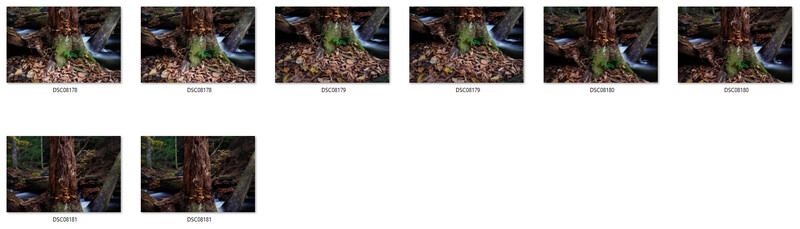 Tree trunk with green moss growing at its base beside a flowing stream surrounded by rocks and leaf litter.