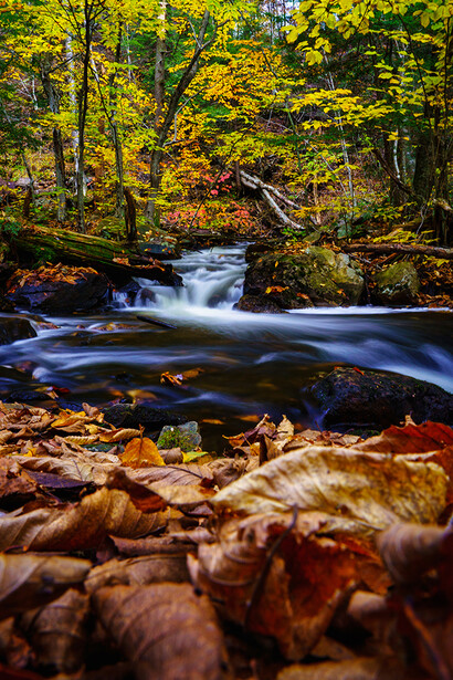 Flowing stream with smooth water current over submerged rocks surrounded by autumn foliage.