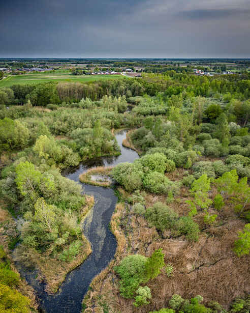 Winding river cuts through forested landscape under partly cloudy sky.