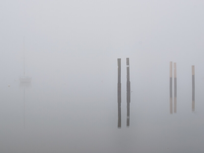 Wooden pilings emerging from heavy fog over still water.