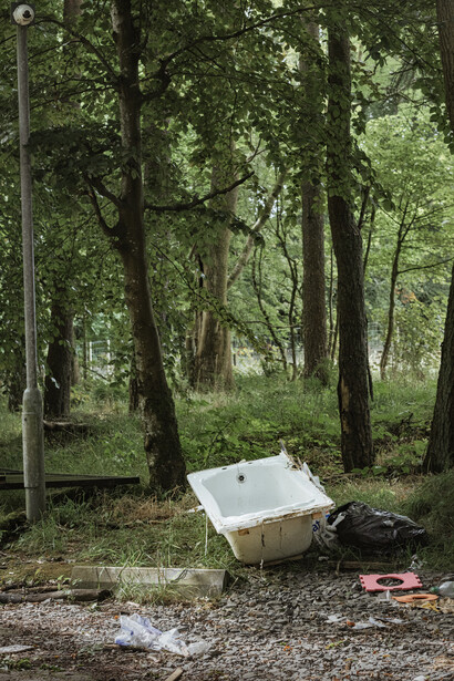 White bathtub placed on forest floor surrounded by tall trees and fallen leaves.