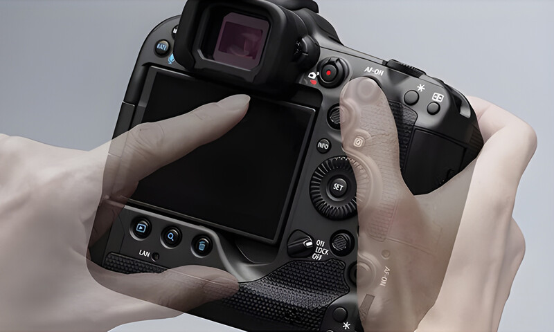 Professional DSLR camera held in hands, showing rear LCD screen and control layout from back view.