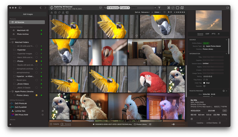 Screenshot of photo management software displaying a grid of macaw and parrot images during culling and organization.