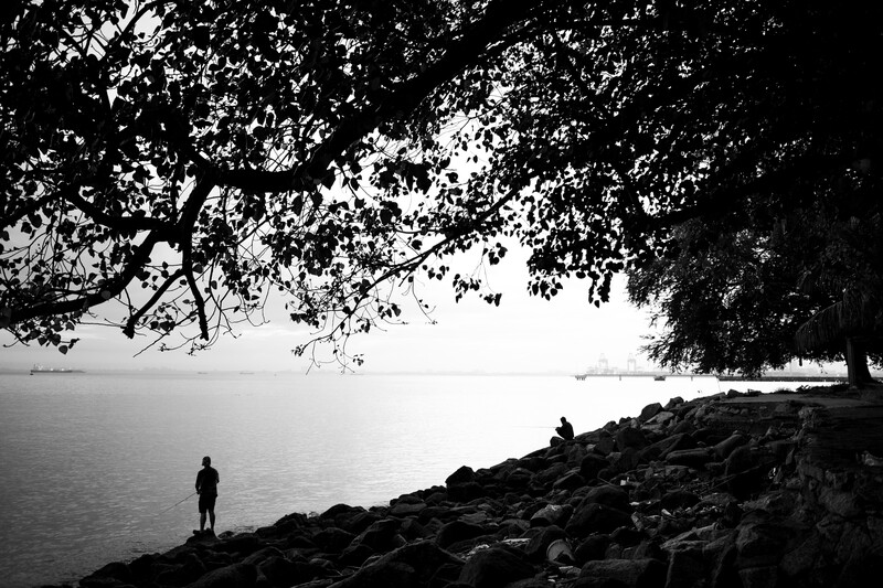 Solitary figure standing on rocky shoreline beneath overhanging tree branches, gazing toward calm water.