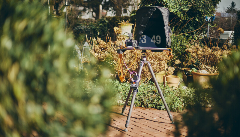 Vintage-style movie camera mounted on tripod in overgrown garden setting with golden hour sunlight.