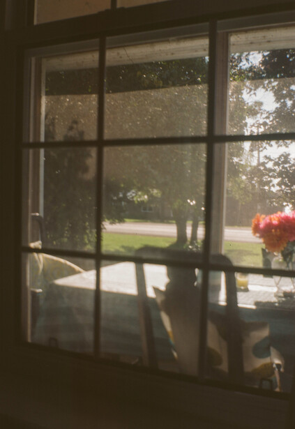 View through a multi-pane window showing outdoor landscape with green lawn and trees.