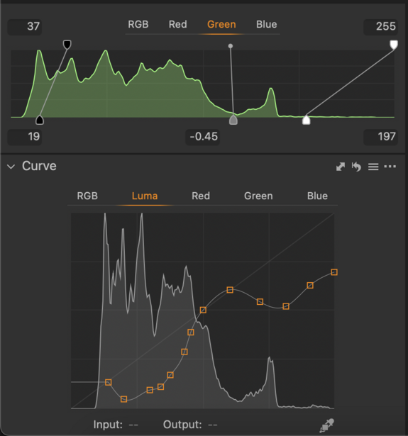 Screenshot of photo editing software showing RGB histogram and curves adjustment panel with tone mapping applied.
