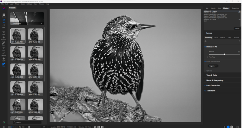 Black and white photograph of a small speckled bird perched on a textured branch.