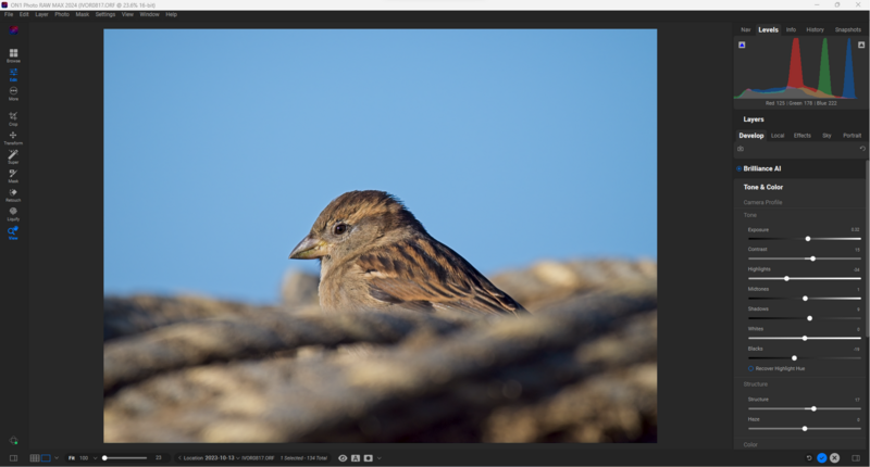 Small shorebird perched on driftwood against clear blue sky.