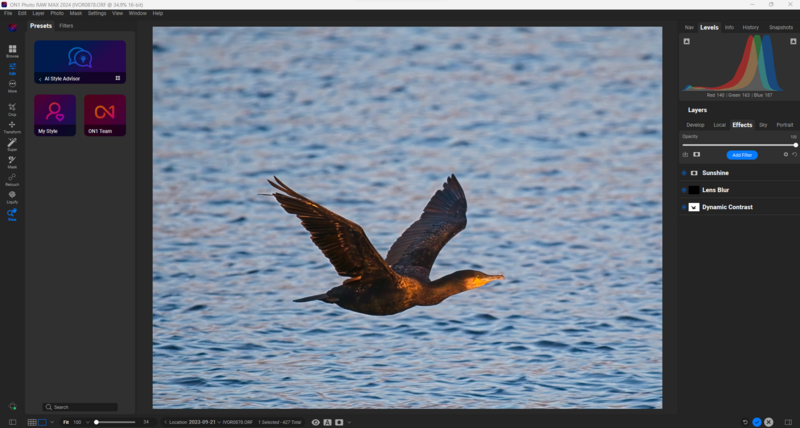 Cormorant in flight over water with wings spread, displaying dark plumage and orange-yellow chest markings.