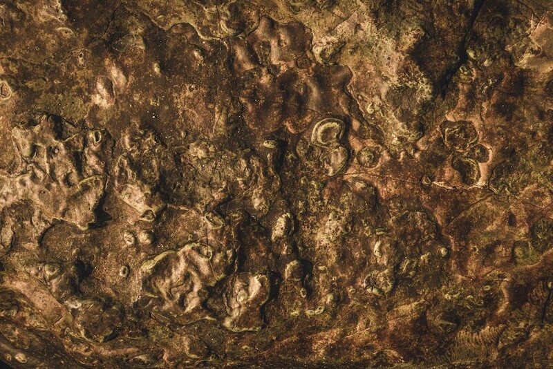Weathered bronze or metal surface with embossed numerals and ornamental details showing deep patina.