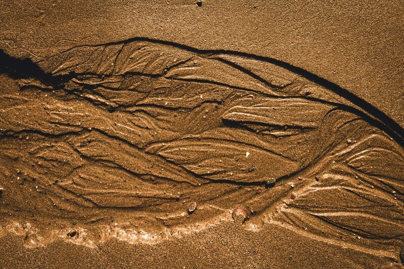 Wet sand with dark seaweed strands and shallow water creating natural linear patterns and textures.