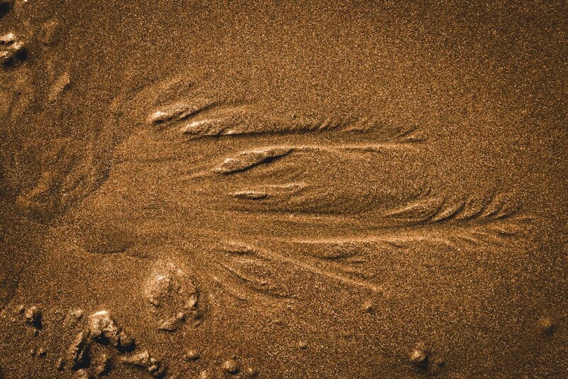 Shallow water washing over wet sand with organic patterns and ripples created by water movement.