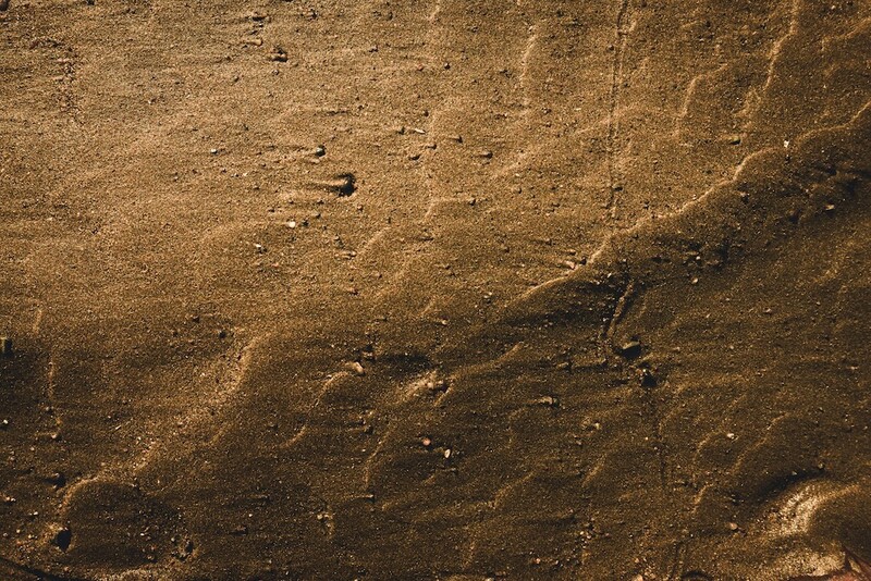 Shallow water with rippled sand bottom and scattered pebbles, lit by warm golden sunlight.