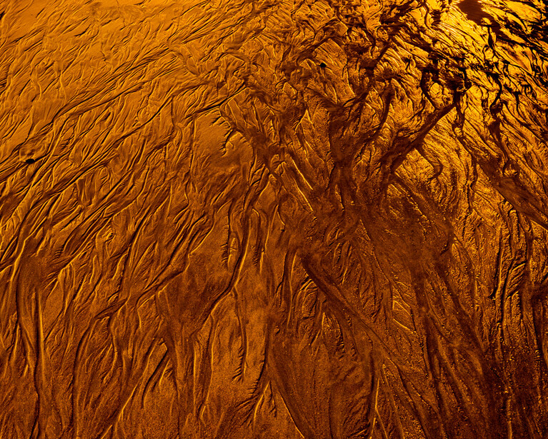 Aerial view of deeply eroded desert terrain with intricate branching patterns and ridges in warm golden tones.