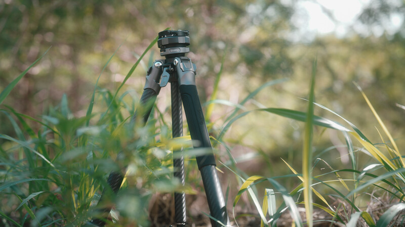 Tripod with ball head mounted in tall grass during golden hour, shot from low angle with blurred foliage in background.
