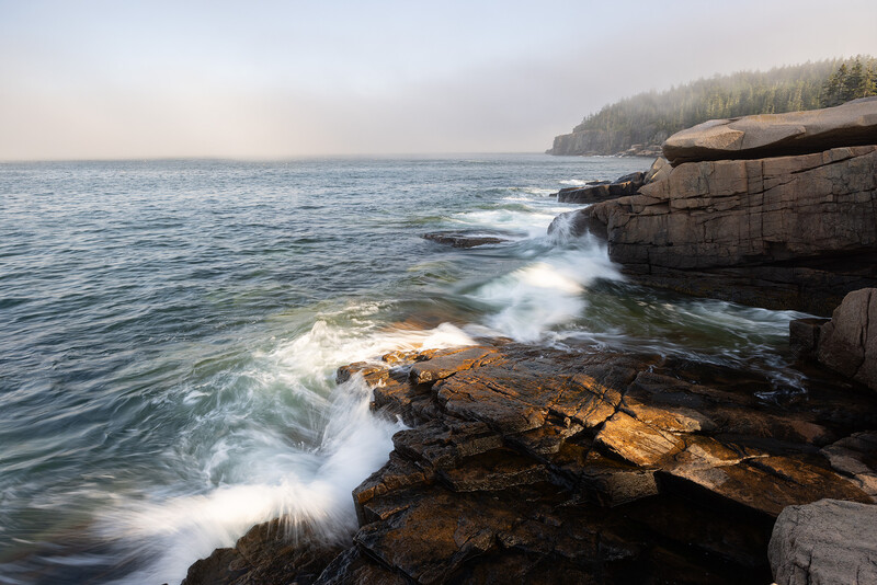 Waves crash against rocky shoreline with forested cliffs in misty background.