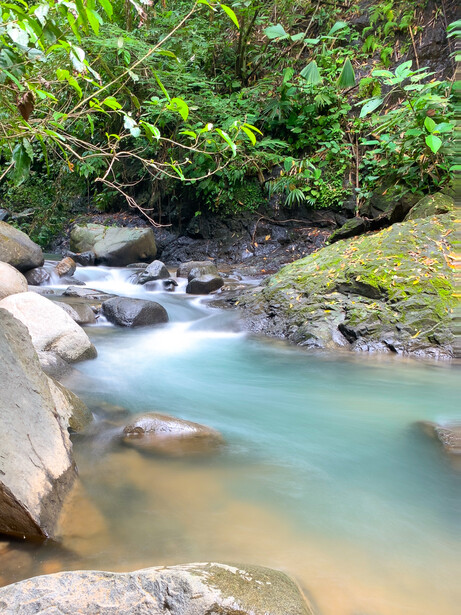Turquoise stream flowing through moss-covered rocks beneath dense tropical vegetation.
