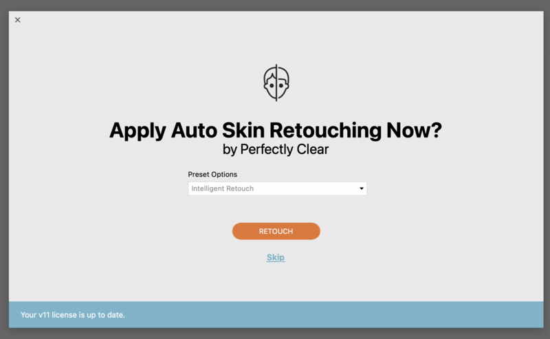 Screenshot of auto skin retouching software dialog box with preset options and retouch button.