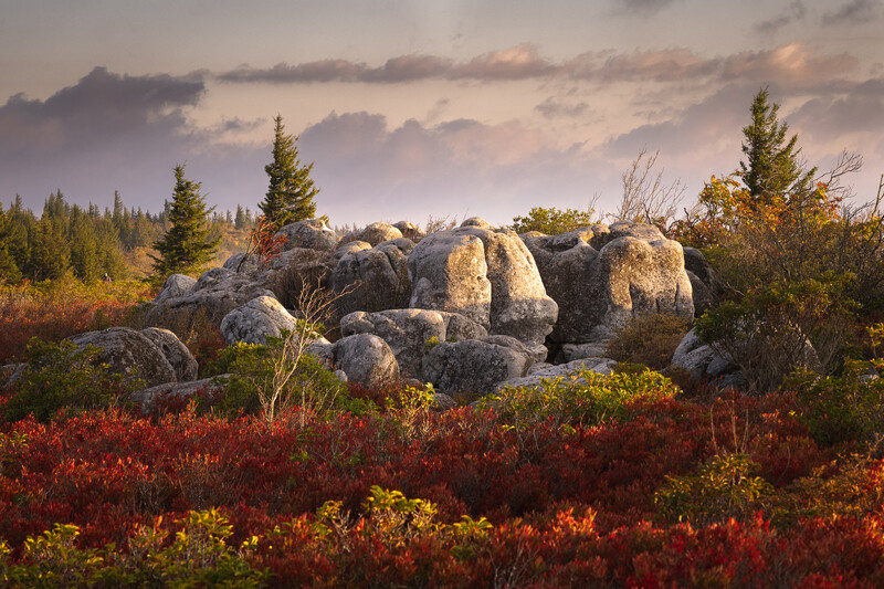 Bear Rock Preserve in West Virginia
