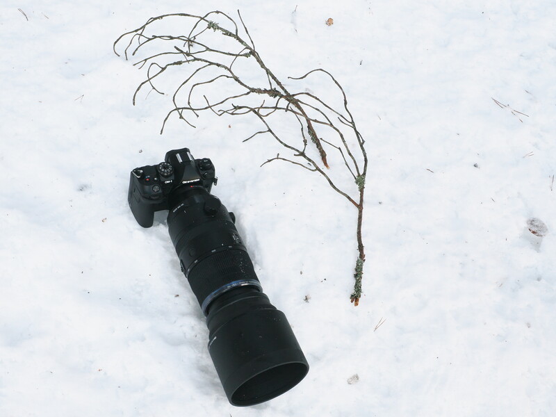 DSLR camera with telephoto lens lying on snow next to a bare plant stem.