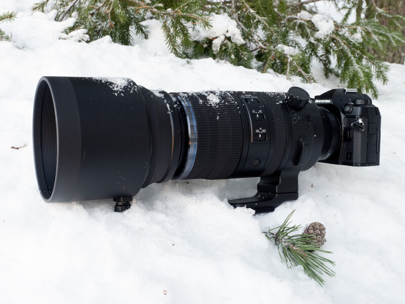 Black telephoto lens with lens hood mounted on camera body, resting in snow with evergreen branches visible.