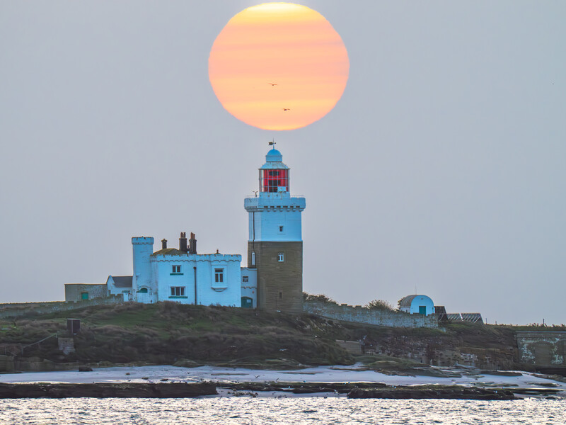 Lighthouse with blue keeper's cottage on a rocky coastal headland during golden hour sunset.