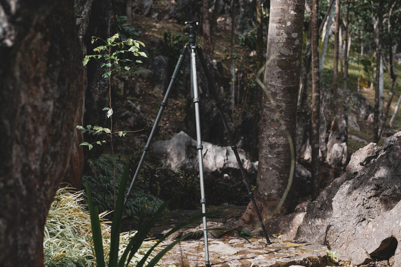 Tripod set up on a forest trail surrounded by tall trees and rocky terrain.
