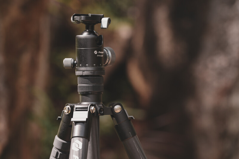 Professional ball head tripod mount with adjustable pan-tilt mechanisms against a blurred forest background.