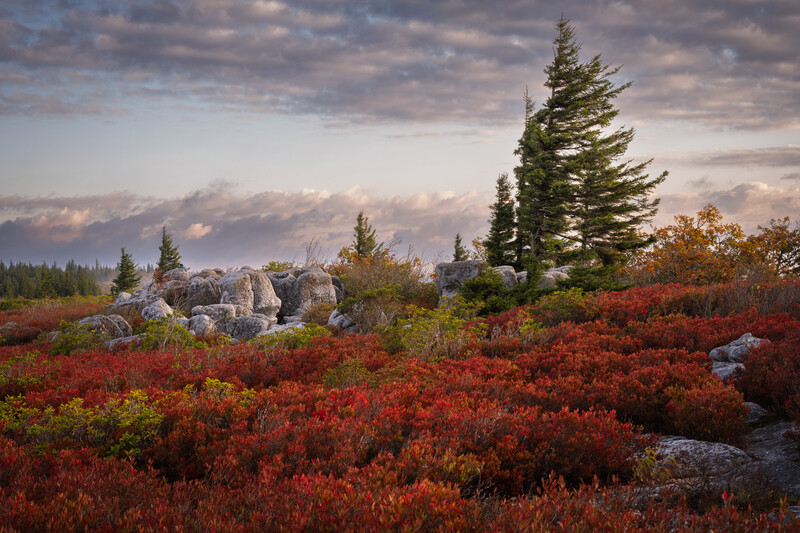 autumn colors on a high plateau in west virginia