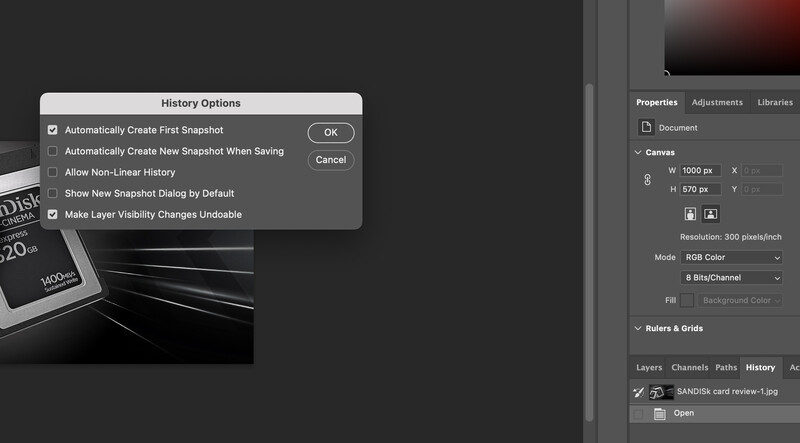 Screenshot of History Options dialog box in image editing software with snapshot settings.